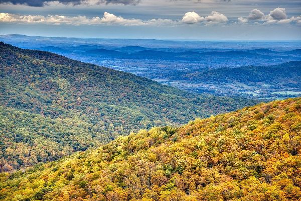 Looney, Hollice 아티스트의 USA-Virginia-Shenandoah National Park-fall color작품입니다.